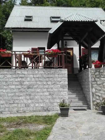 Zorc 아파트 *